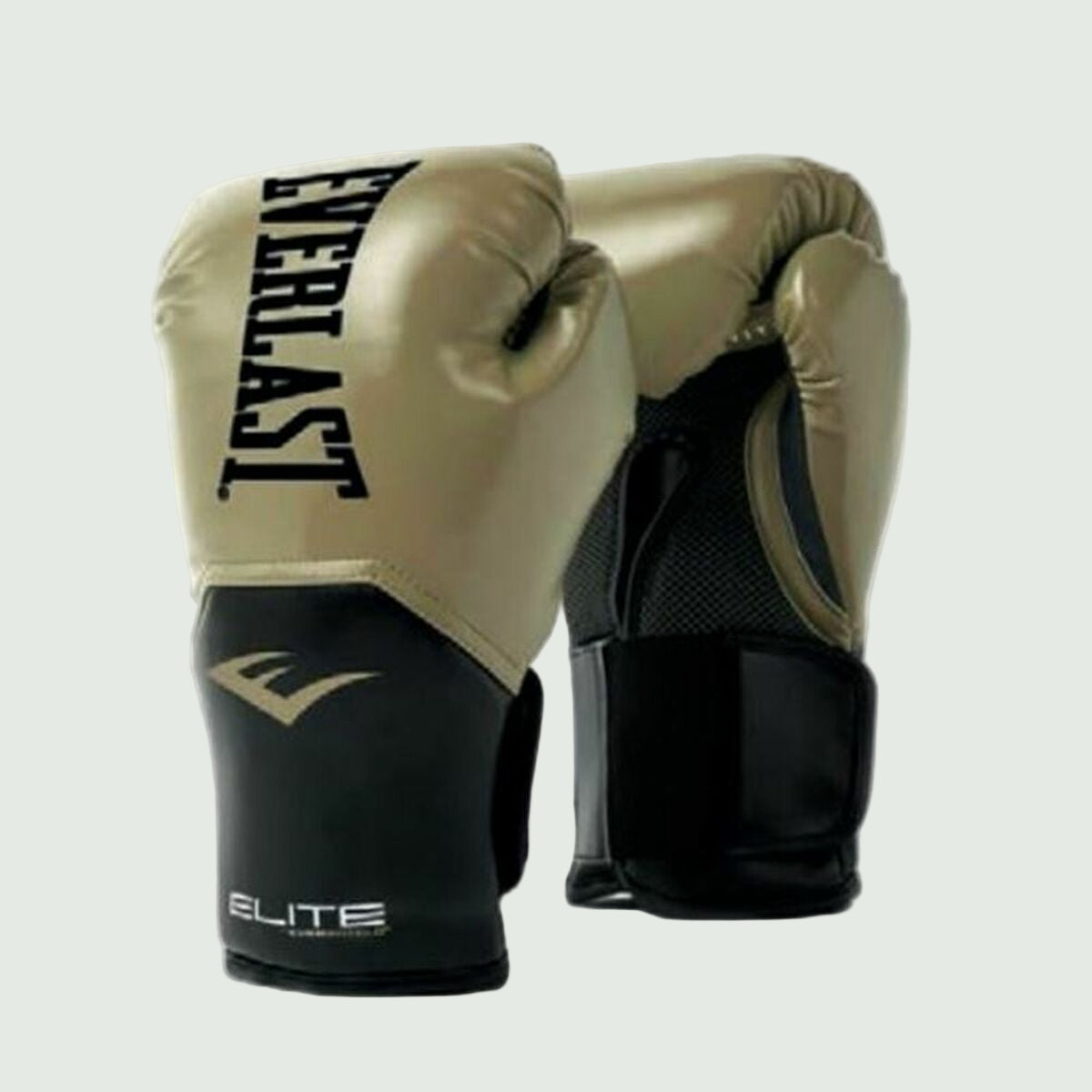 Boxing gloves Everlast Elite 10